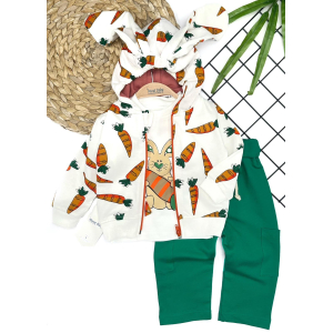 Костюм трійка на 9,12,18,24 місяці. Дитячий одяг оптом