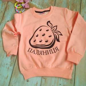 Реглан патріотичний -Paljan- на 9,10,11,12 років